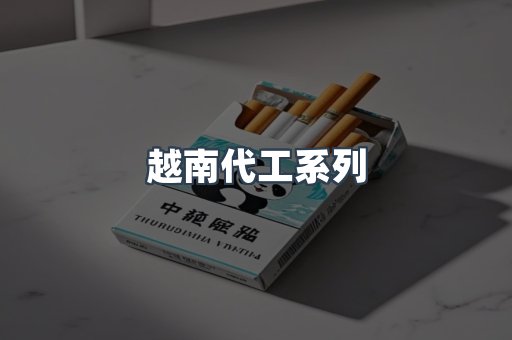 越南代工系列